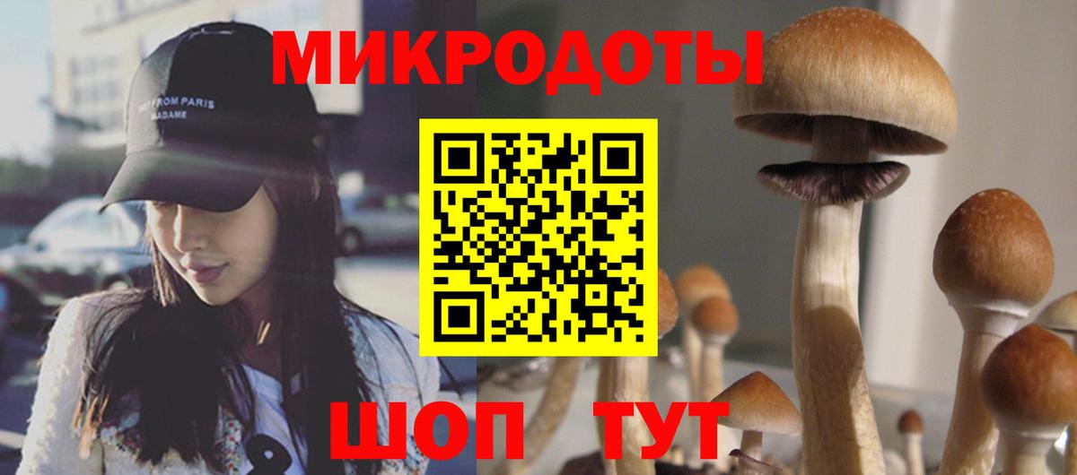 Галлюциногенные грибы прущие грибы Артёмовский