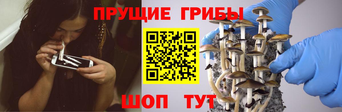Артёмовский  продажа наркотиков  Псилоцибиновые грибы ЛСД  Вход с VPN  Псилоцибиновые грибы Magic Shrooms 